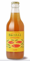 BIO Kombucha Maté Bacilli 330 ml Optimistic 